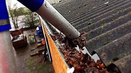 Gutter Clearing & Cladding Cleaning