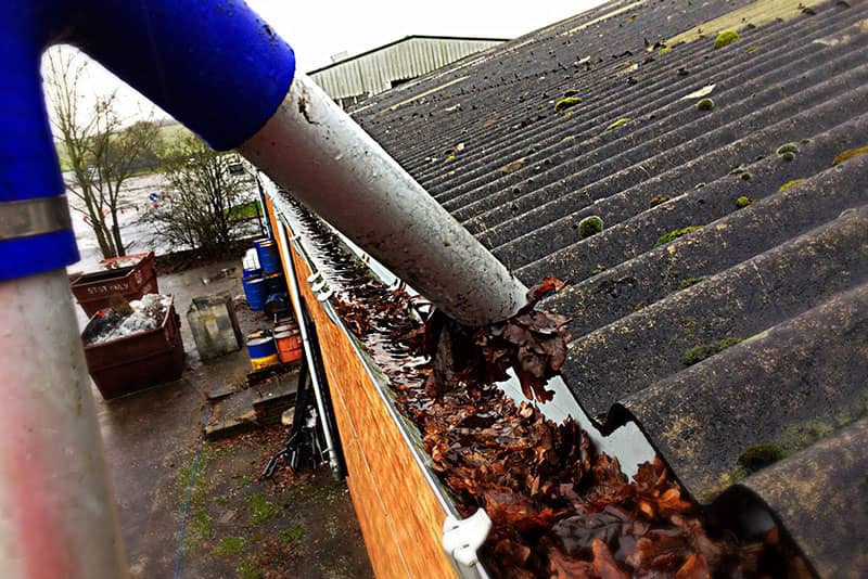 Guttering Clearing