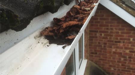 Gutter Clearing & Fascia Cleaning