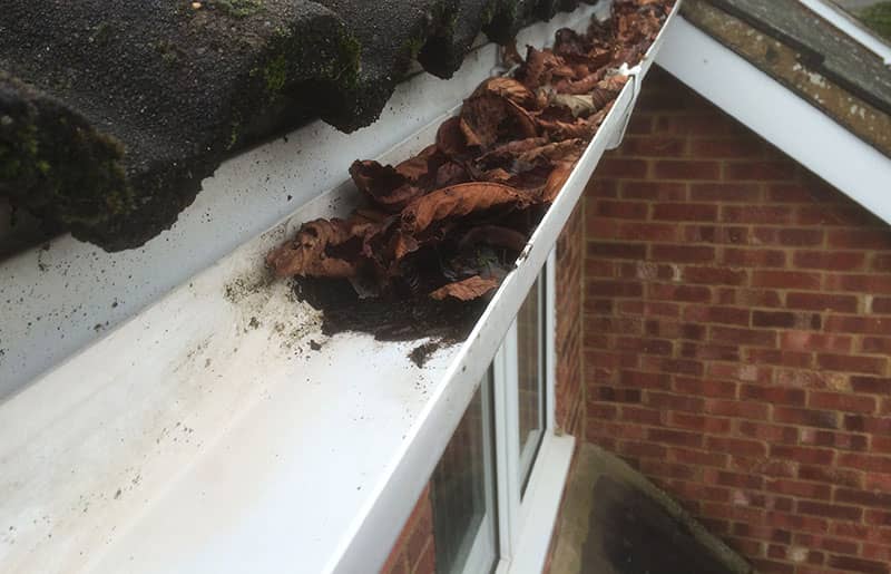 Guttering & Fascia Cleaning